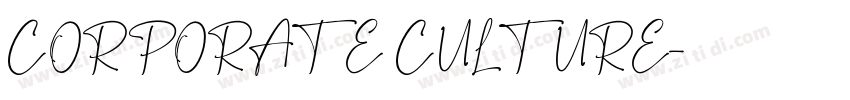 CORPORATE CULTURE字体转换